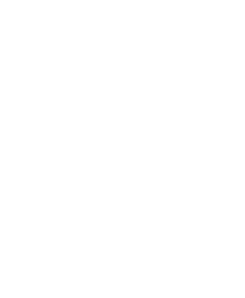 Electro Wedi